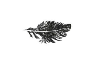 Feather Intricate Embroidery Design Review